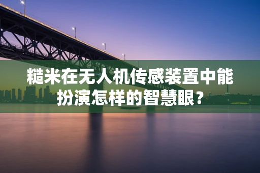 糙米在无人机传感装置中能扮演怎样的智慧眼？