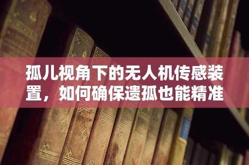 孤儿视角下的无人机传感装置，如何确保遗孤也能精准感知？