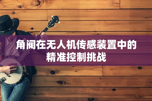 角阀在无人机传感装置中的精准控制挑战