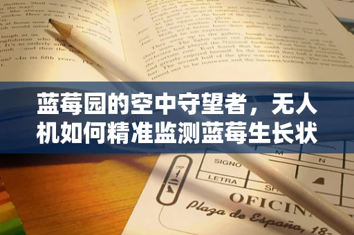 蓝莓园的空中守望者，无人机如何精准监测蓝莓生长状况？