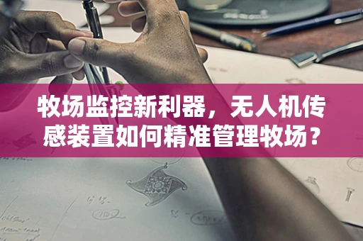牧场监控新利器，无人机传感装置如何精准管理牧场？