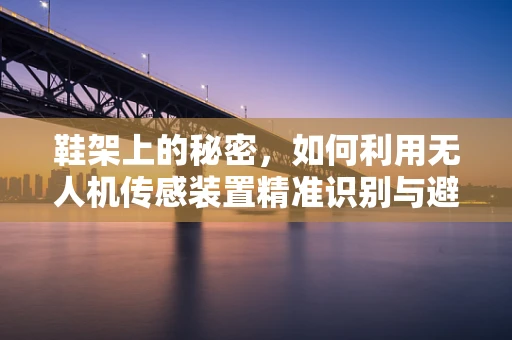 鞋架上的秘密，如何利用无人机传感装置精准识别与避障？