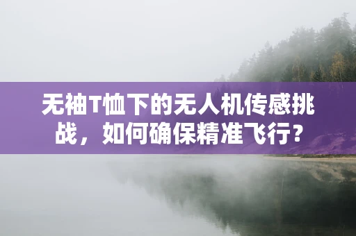 无袖T恤下的无人机传感挑战，如何确保精准飞行？