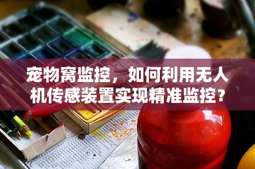 宠物窝监控，如何利用无人机传感装置实现精准监控？
