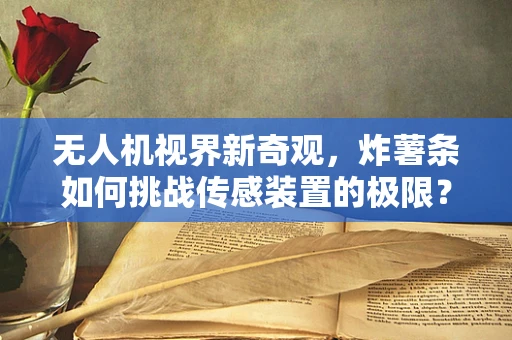 无人机视界新奇观，炸薯条如何挑战传感装置的极限？