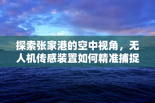 探索张家港的空中视角，无人机传感装置如何精准捕捉城市细节？