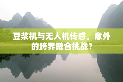 豆浆机与无人机传感，意外的跨界融合挑战？