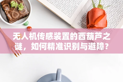 无人机传感装置的西葫芦之谜，如何精准识别与避障？