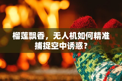 榴莲飘香，无人机如何精准捕捉空中诱惑？