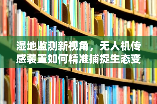 湿地监测新视角，无人机传感装置如何精准捕捉生态变化？
