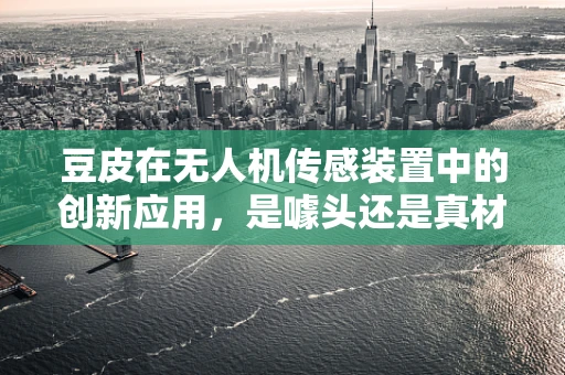 豆皮在无人机传感装置中的创新应用，是噱头还是真材实料？