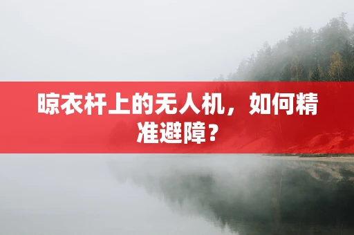 晾衣杆上的无人机，如何精准避障？
