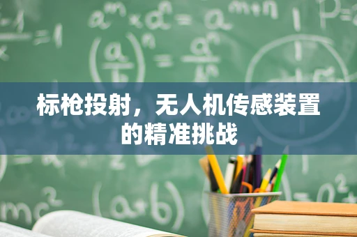 标枪投射，无人机传感装置的精准挑战