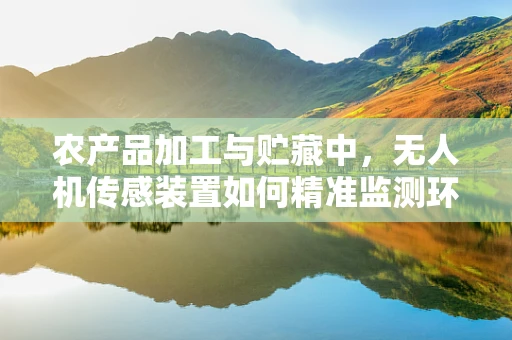 农产品加工与贮藏中，无人机传感装置如何精准监测环境变化？