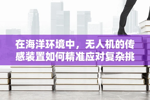 在海洋环境中，无人机的传感装置如何精准应对复杂挑战？