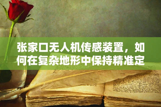 张家口无人机传感装置，如何在复杂地形中保持精准定位？