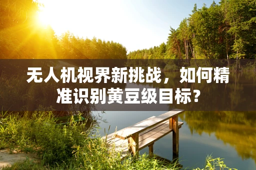 无人机视界新挑战，如何精准识别黄豆级目标？