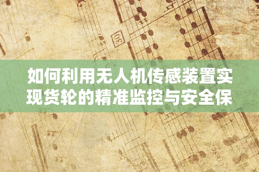 如何利用无人机传感装置实现货轮的精准监控与安全保障？