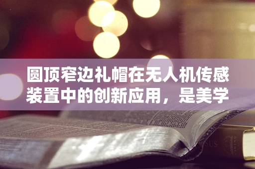 圆顶窄边礼帽在无人机传感装置中的创新应用，是美学还是功能性的胜利？