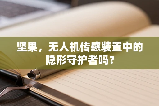 坚果，无人机传感装置中的隐形守护者吗？