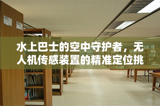 水上巴士的空中守护者，无人机传感装置的精准定位挑战