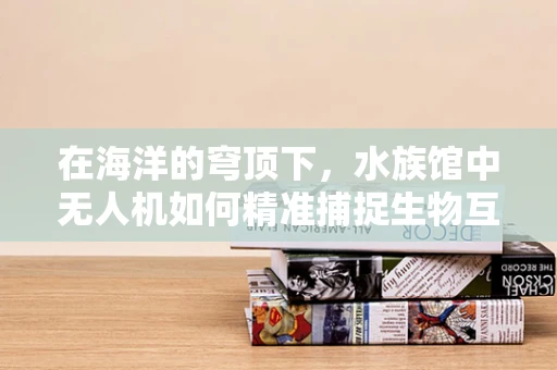 在海洋的穹顶下，水族馆中无人机如何精准捕捉生物互动？
