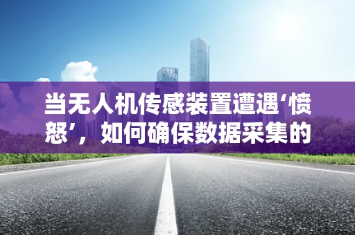 当无人机传感装置遭遇‘愤怒’，如何确保数据采集的准确性？