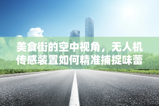 美食街的空中视角，无人机传感装置如何精准捕捉味蕾盛宴？