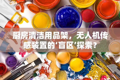厨房清洁用品架，无人机传感装置的‘盲区’探索？