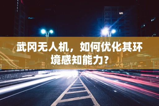 武冈无人机，如何优化其环境感知能力？