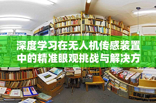 深度学习在无人机传感装置中的精准眼观挑战与解决方案