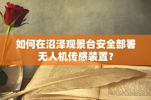 如何在沼泽观景台安全部署无人机传感装置？