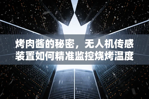 烤肉酱的秘密，无人机传感装置如何精准监控烧烤温度？