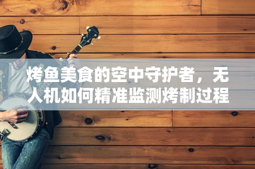 烤鱼美食的空中守护者，无人机如何精准监测烤制过程？