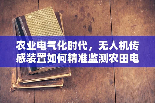农业电气化时代，无人机传感装置如何精准监测农田电能消耗？