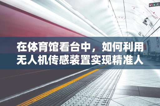 在体育馆看台中，如何利用无人机传感装置实现精准人群监控？