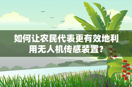如何让农民代表更有效地利用无人机传感装置？