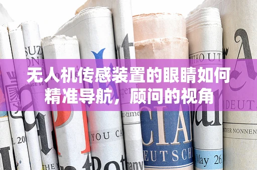 无人机传感装置的眼睛如何精准导航，顾问的视角