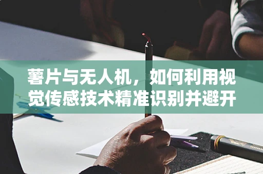 薯片与无人机，如何利用视觉传感技术精准识别并避开散落碎片？