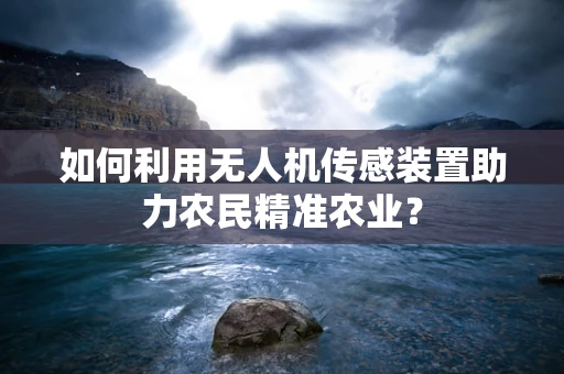 如何利用无人机传感装置助力农民精准农业？