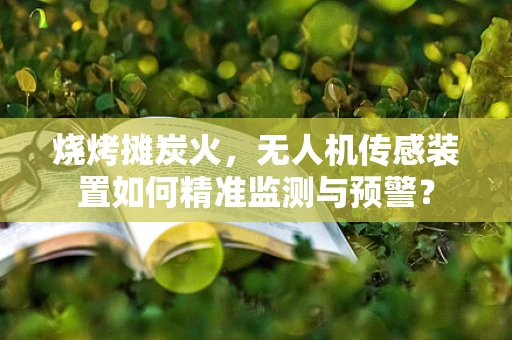 烧烤摊炭火，无人机传感装置如何精准监测与预警？