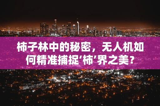 柿子林中的秘密，无人机如何精准捕捉‘柿’界之美？