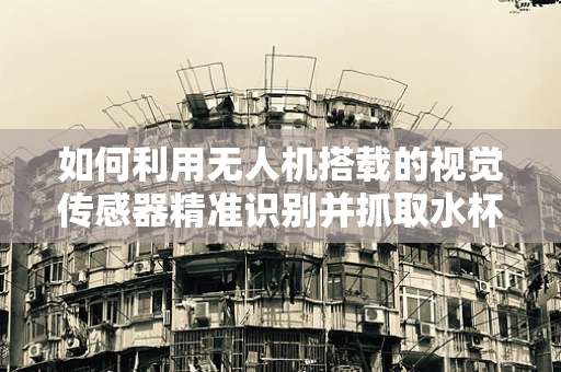 如何利用无人机搭载的视觉传感器精准识别并抓取水杯？