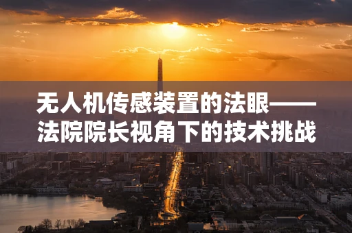 无人机传感装置的法眼——法院院长视角下的技术挑战
