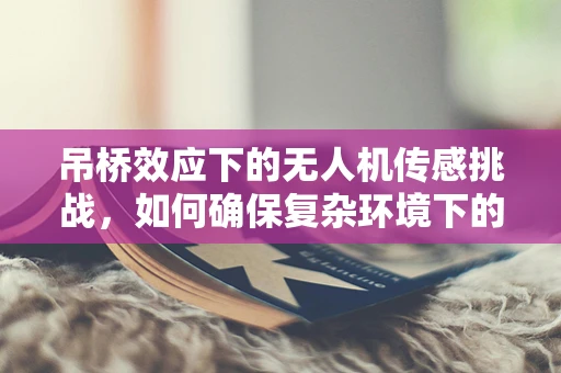 吊桥效应下的无人机传感挑战，如何确保复杂环境下的精准感知？