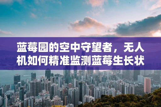 蓝莓园的空中守望者，无人机如何精准监测蓝莓生长状况？