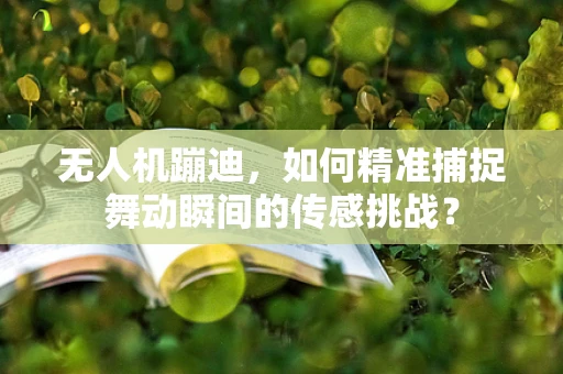 无人机蹦迪，如何精准捕捉舞动瞬间的传感挑战？