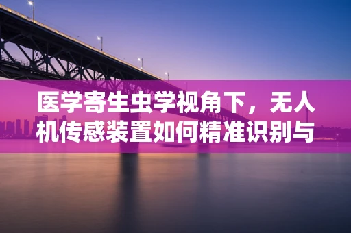 医学寄生虫学视角下，无人机传感装置如何精准识别与监测寄生虫感染区域？