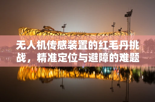 无人机传感装置的红毛丹挑战，精准定位与避障的难题