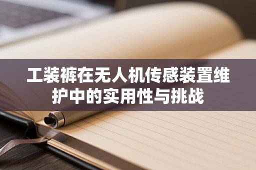 工装裤在无人机传感装置维护中的实用性与挑战
